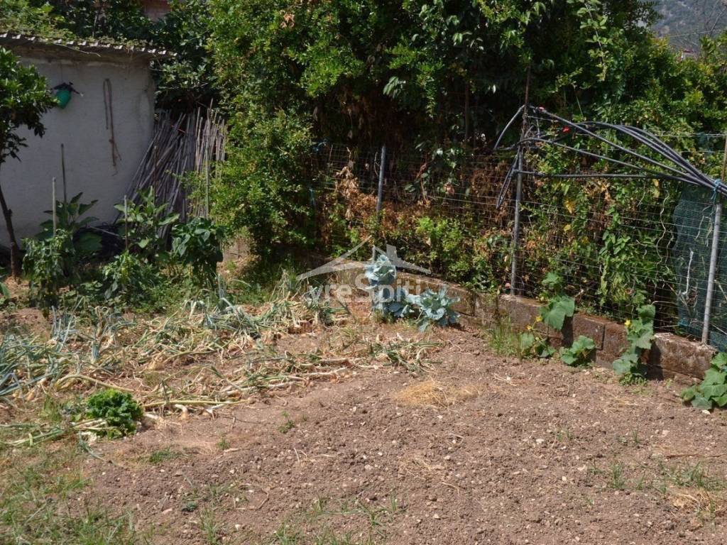 ΑΠΟΨΗ ΟΙΚΟΠΕΔΟΥ