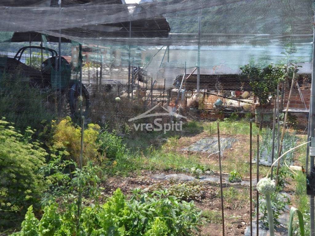 ΑΠΟΨΗ ΟΙΚΟΠΕΔΟΥ