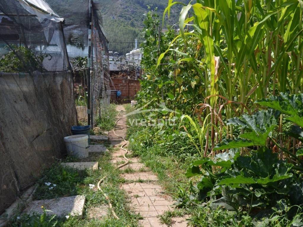 ΑΠΟΨΗ ΟΙΚΟΠΕΔΟΥ