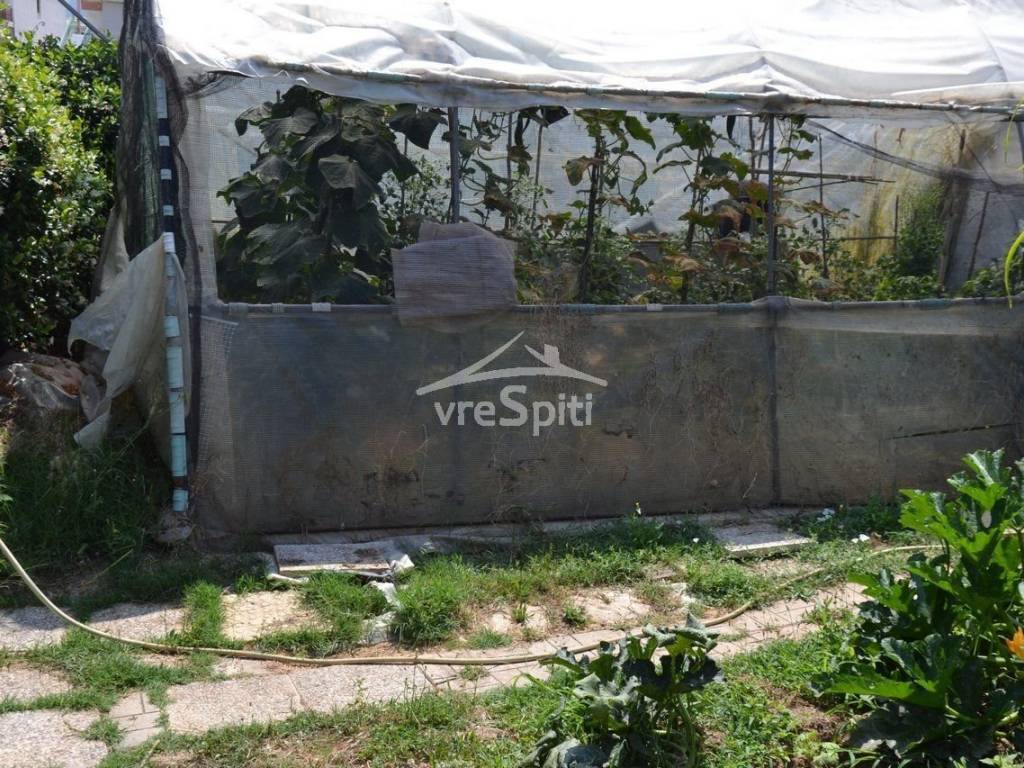 ΑΠΟΨΗ ΟΙΚΟΠΕΔΟΥ