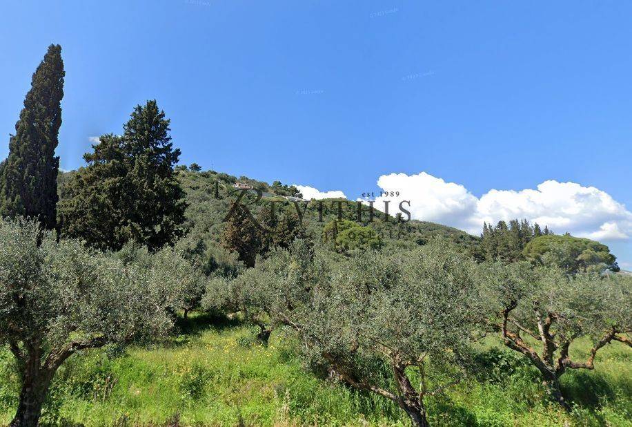 Εξωτερικοι χώροι