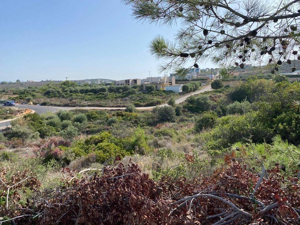 Plot - Grekodom 64066|1009212