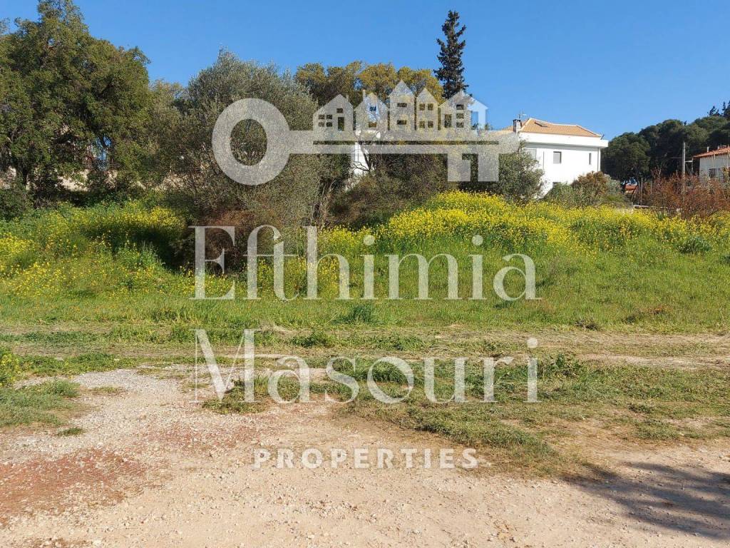 Εξωτερικοι χώροι