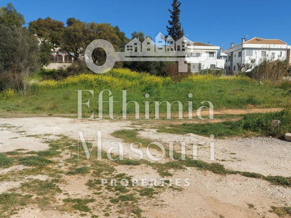 Εξωτερικοι χώροι