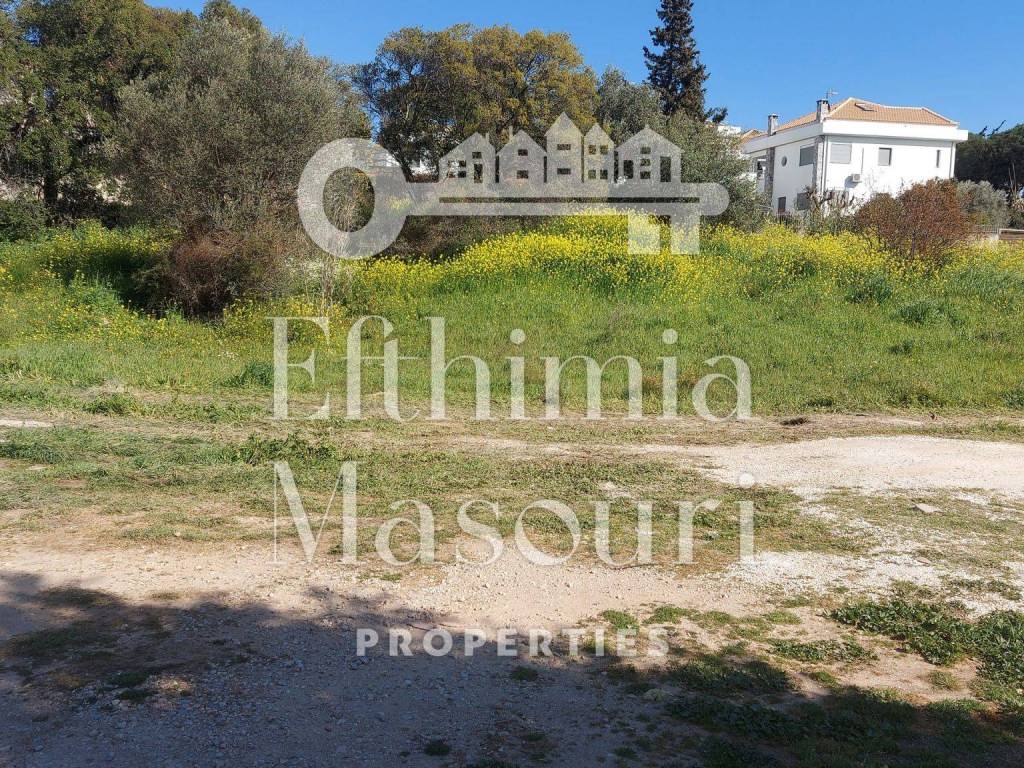 Εξωτερικοι χώροι