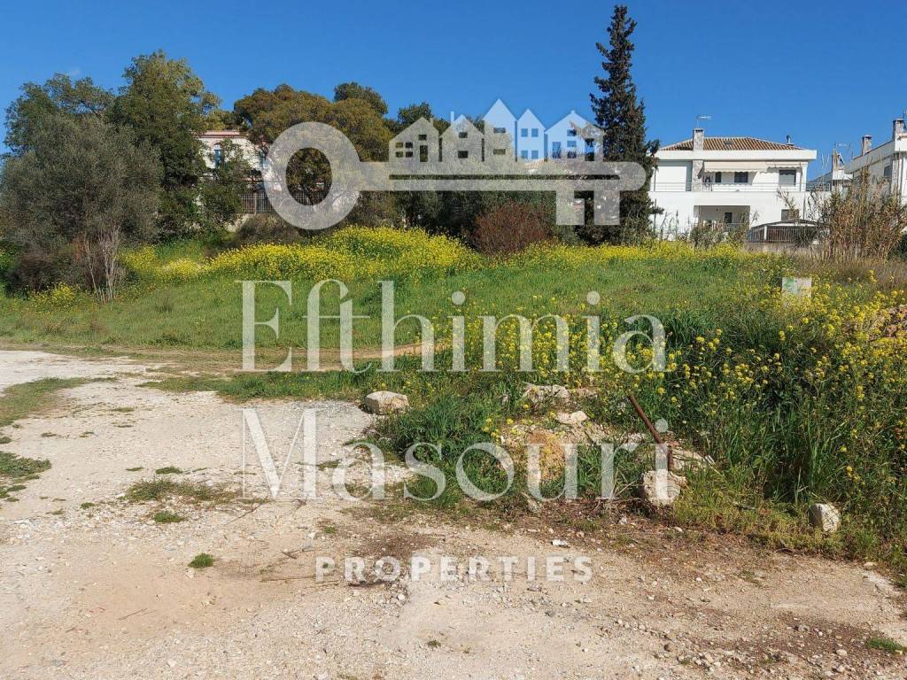 Εξωτερικοι χώροι