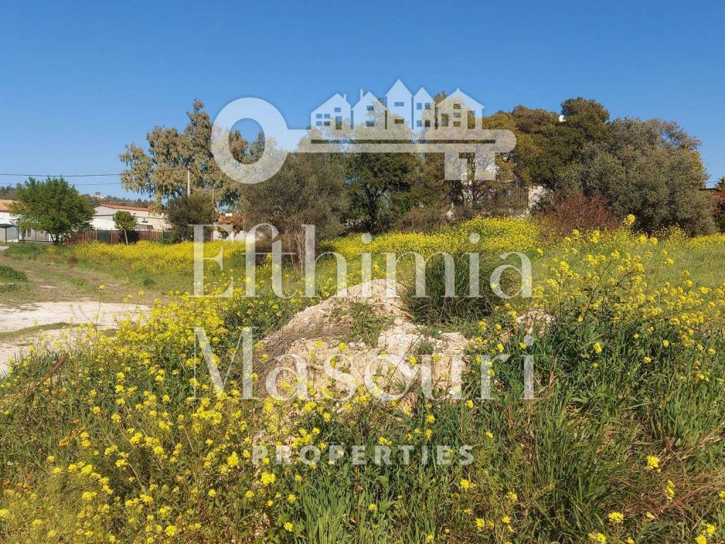 Εξωτερικοι χώροι