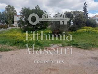 Εξωτερικοι χώροι