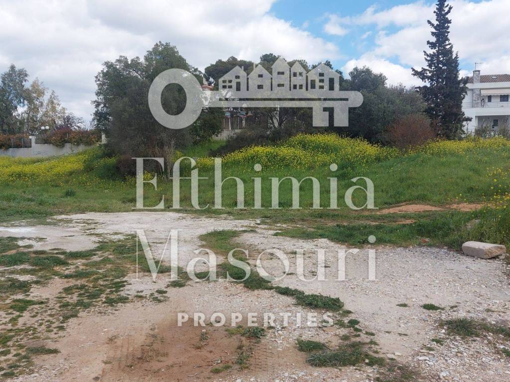 Εξωτερικοι χώροι