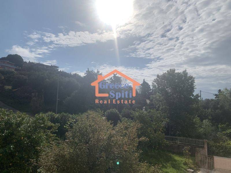 ΠΙΣΩ ΠΛΕΥΡΑ 