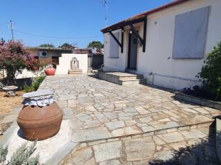 Plakostrote ayle kai kepos