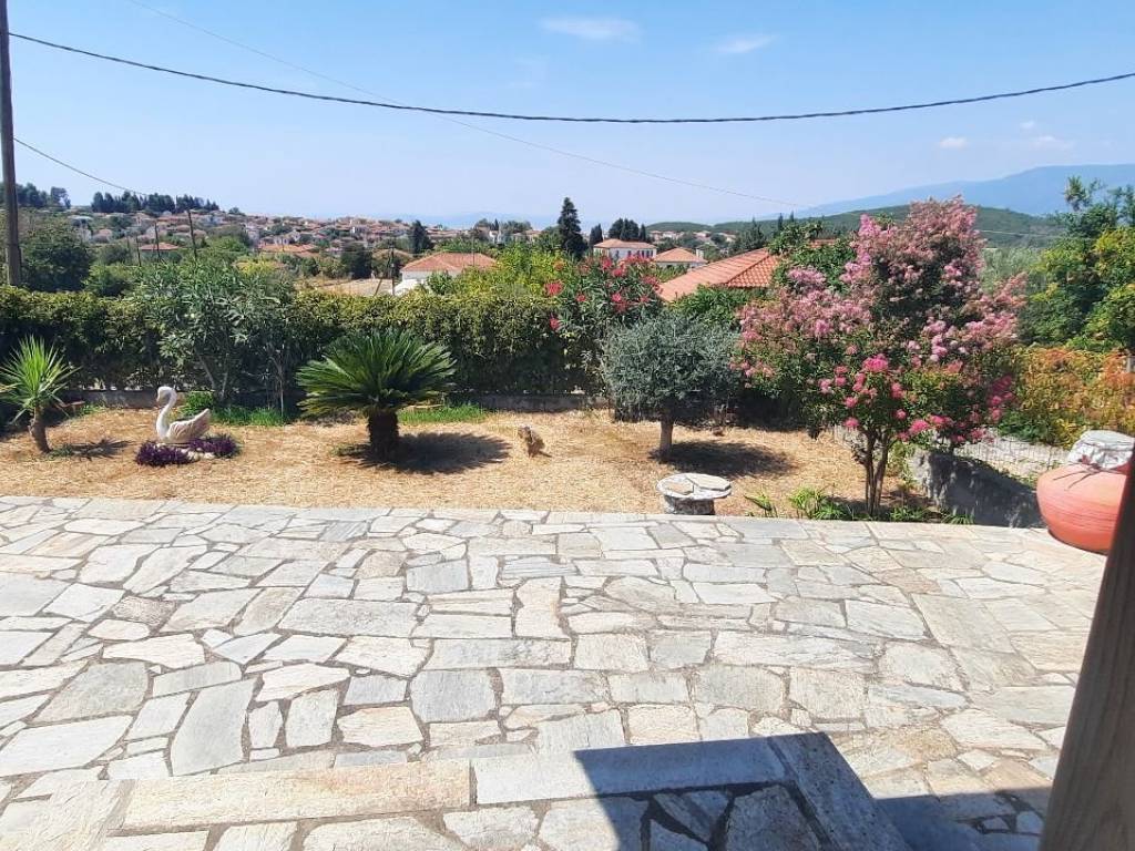 Plakostrote ayle kai kepos