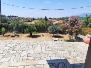 Plakostrote ayle kai kepos