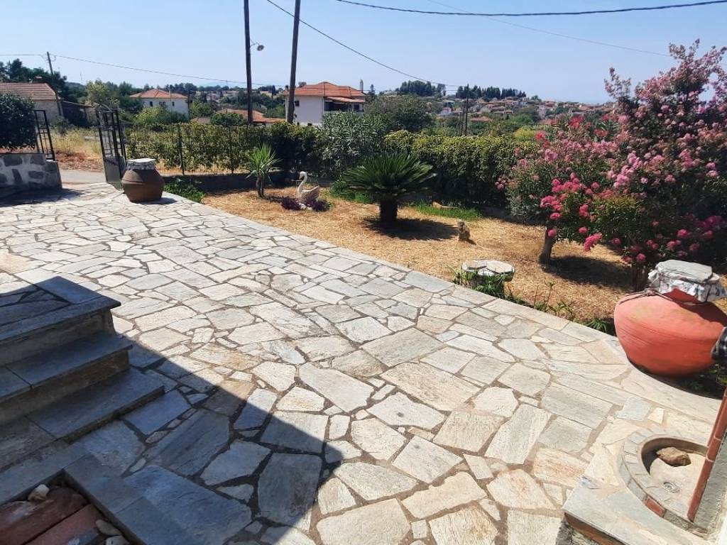 Plakostrote ayle kai kepos