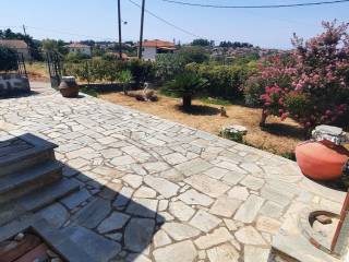 Plakostrote ayle kai kepos