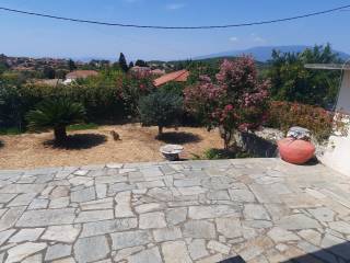 Plakostrote ayle kai kepos