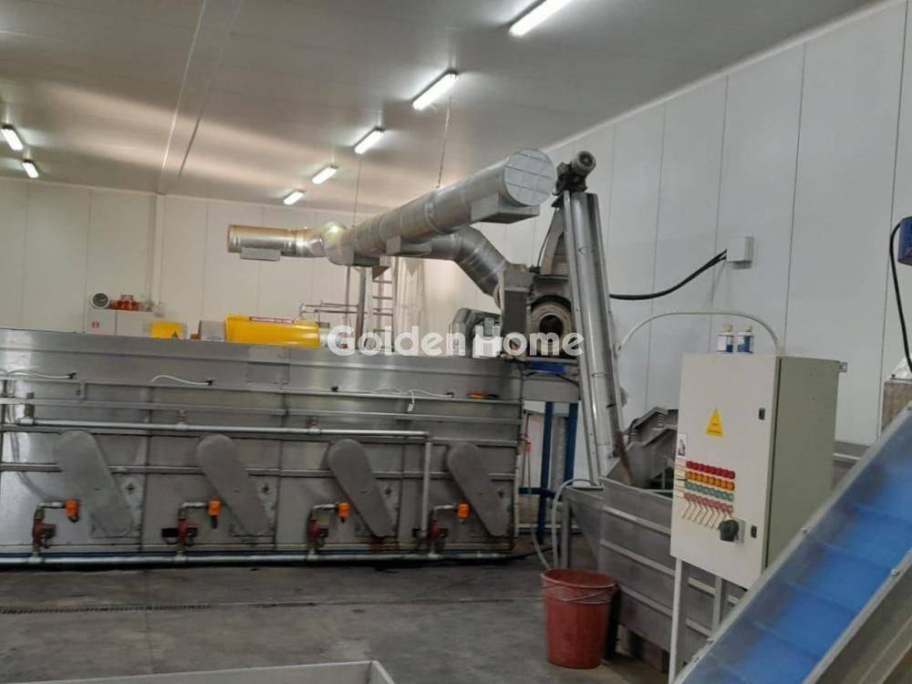 Κυρίως Χώρος