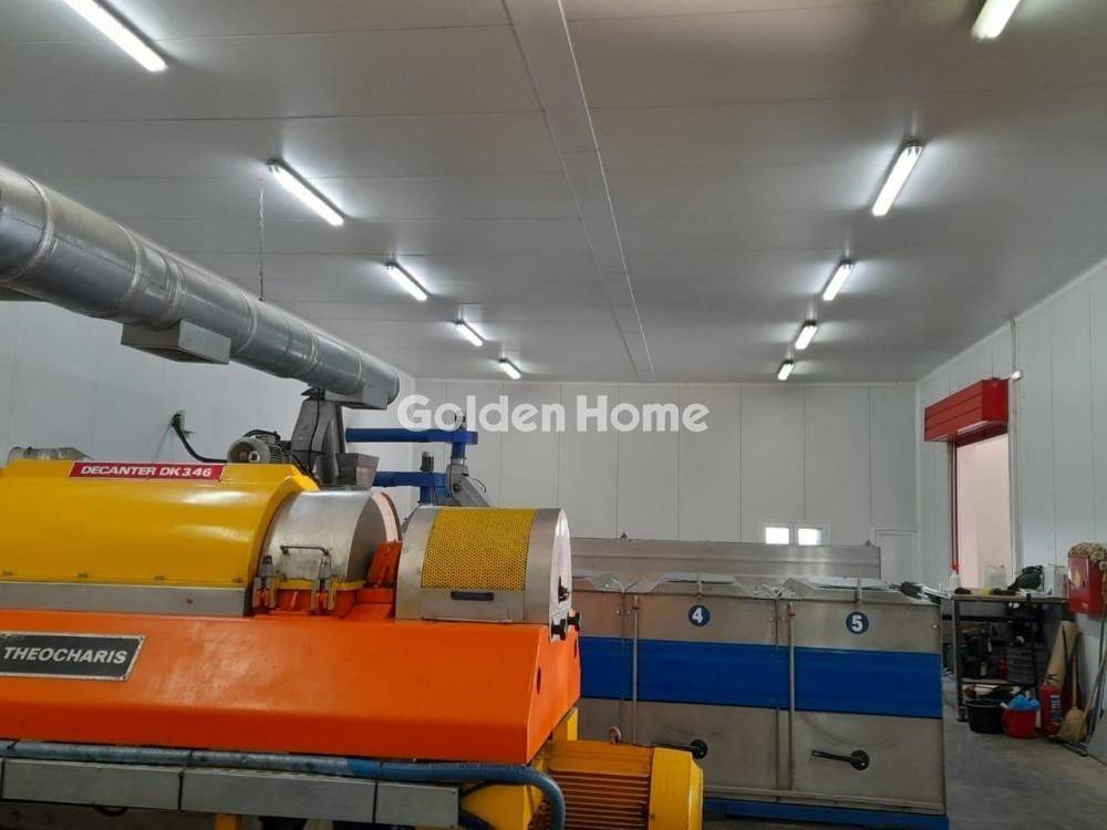 Κυρίως Χώρος