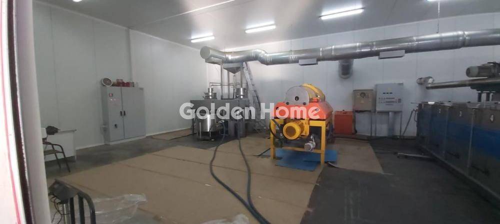 Κυρίως Χώρος