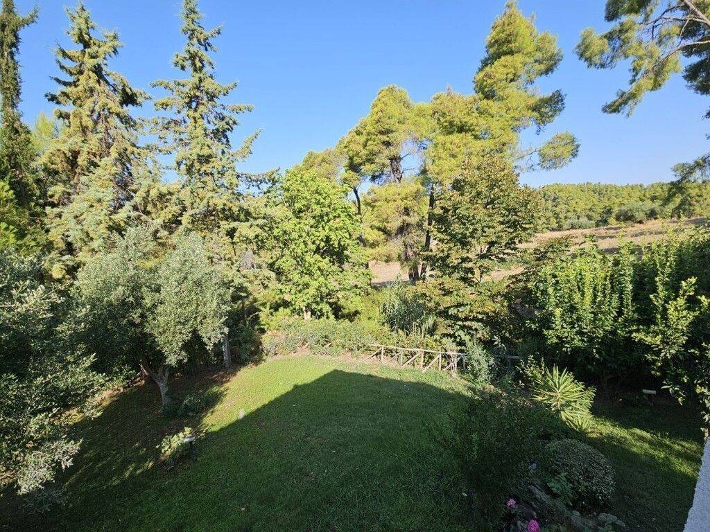 Maisonette - Grekodom 64070|1009228