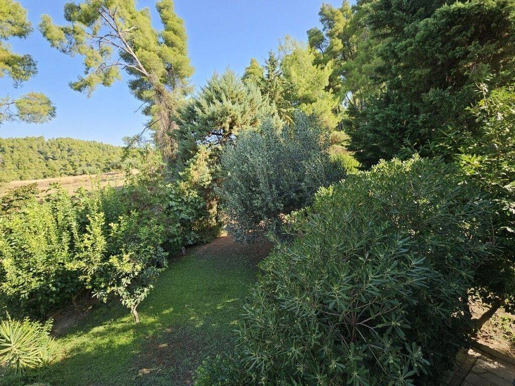 Maisonette - Grekodom 64070|1009229