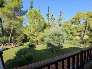 Maisonette - Grekodom 64070|1009249