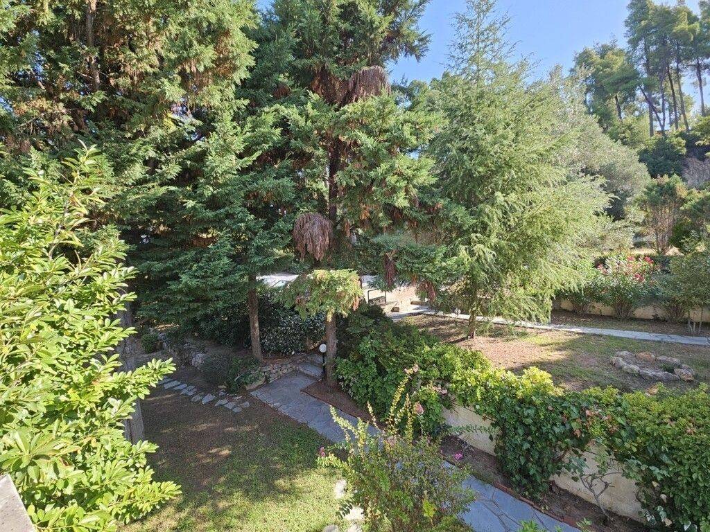 Maisonette - Grekodom 64070|1009250