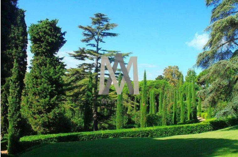 Εξωτερικοι χώροι