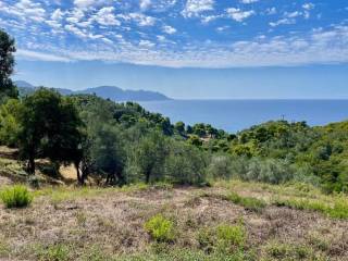 Plot - Grekodom 62176|1009322