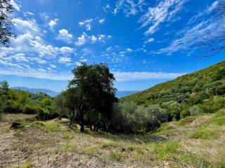 Plot - Grekodom 62176|1009332