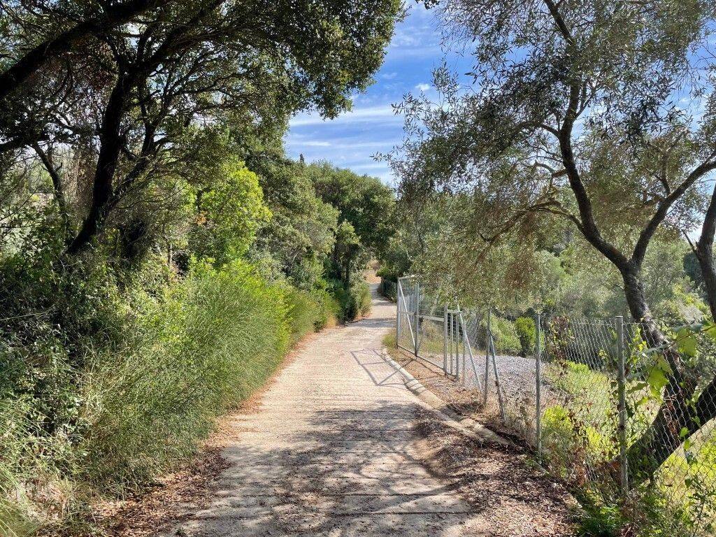 Plot - Grekodom 62176|1009328