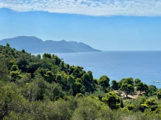 Plot - Grekodom 62176|1009335