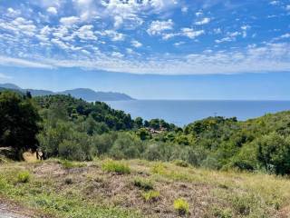 Plot - Grekodom 62176|1009323