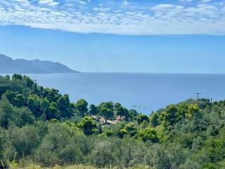 Plot - Grekodom 62176|1009353