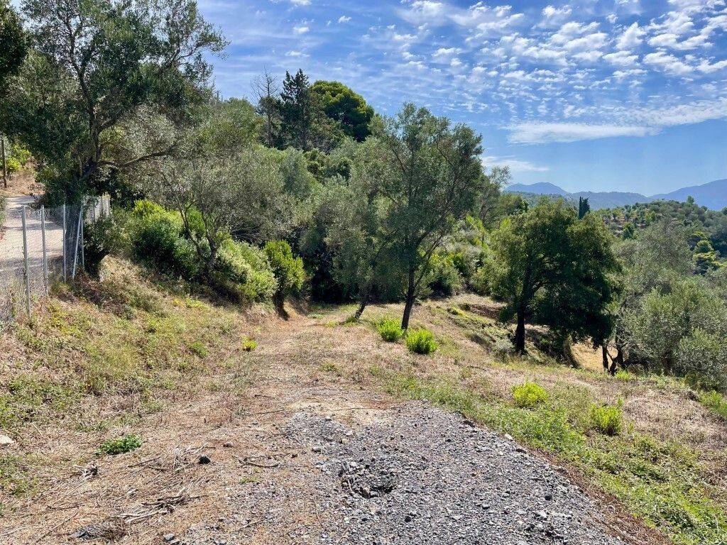 Plot - Grekodom 62176|1009329