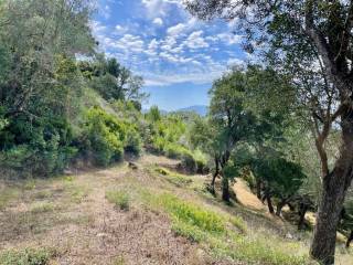 Plot - Grekodom 62176|1009324