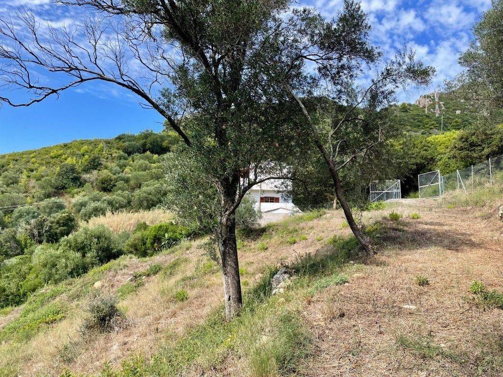 Plot - Grekodom 62176|1009325