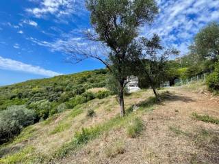 Plot - Grekodom 62176|1009326