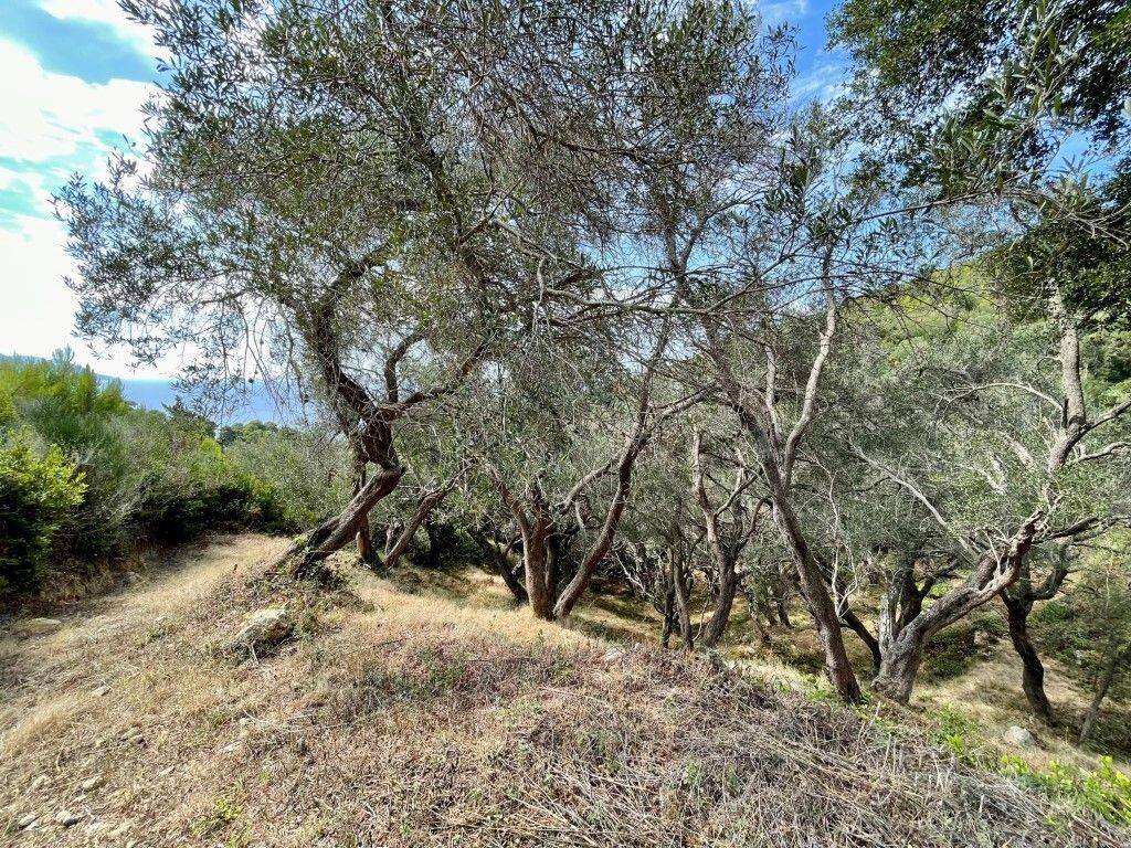 Plot - Grekodom 62176|1009331