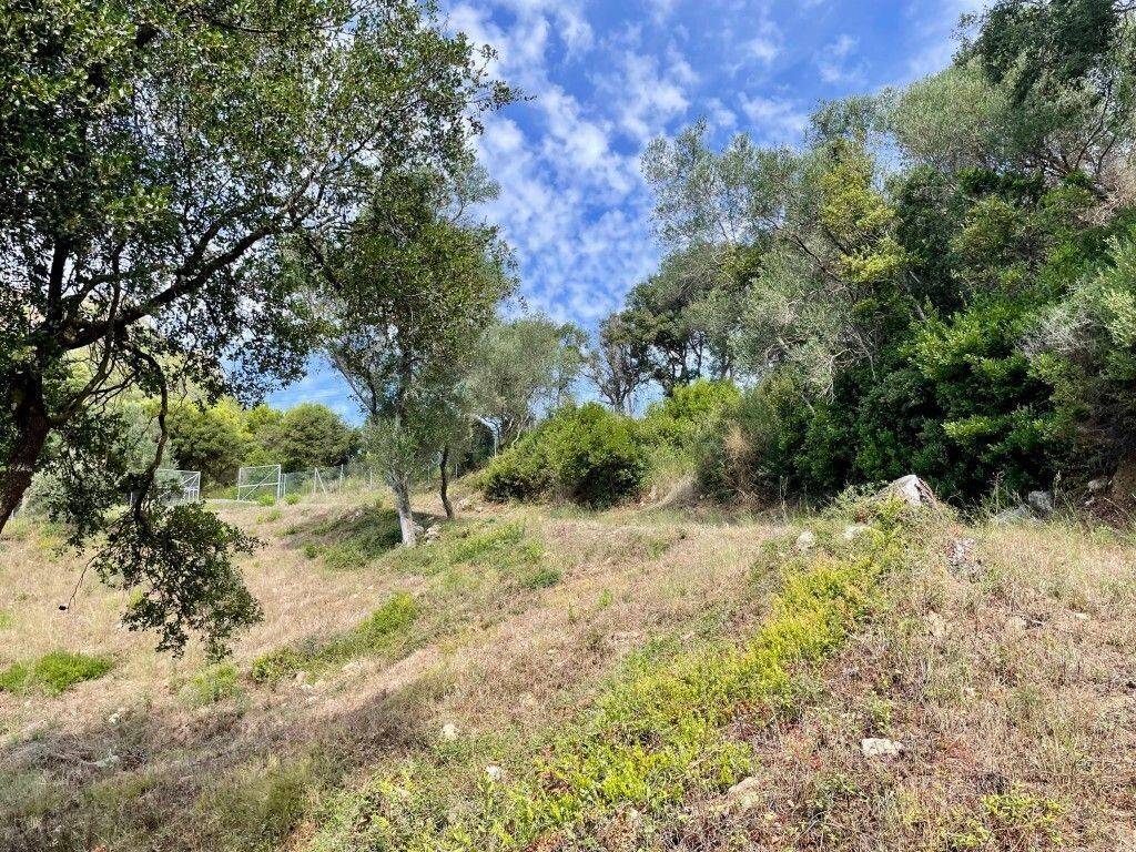 Plot - Grekodom 62176|1009338