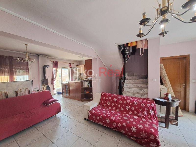 Σαλοκουζίνα