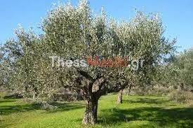 Εξωτερικοι χώροι