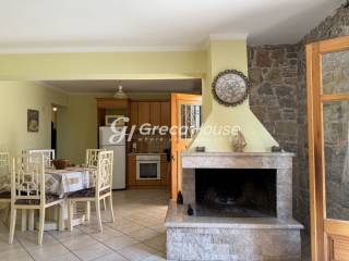 Παραθαλάσσια μονοκατοικία με θέα θάλαασα στην Επίδαυρο