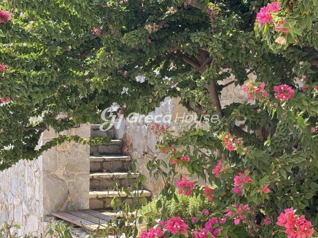 Παραθαλάσσια μονοκατοικία με θέα θάλαασα στην Επίδαυρο