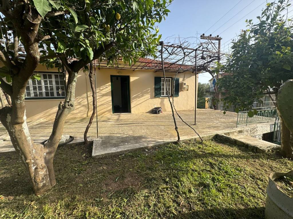 Garden and external view of the house