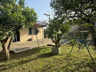 Garden and front of house