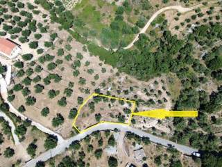 Border of the property