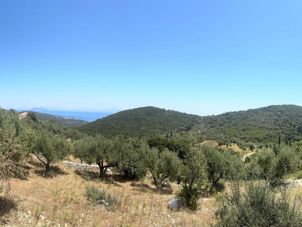 Panoramic view of the property
