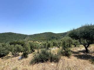 Terrain and landscape