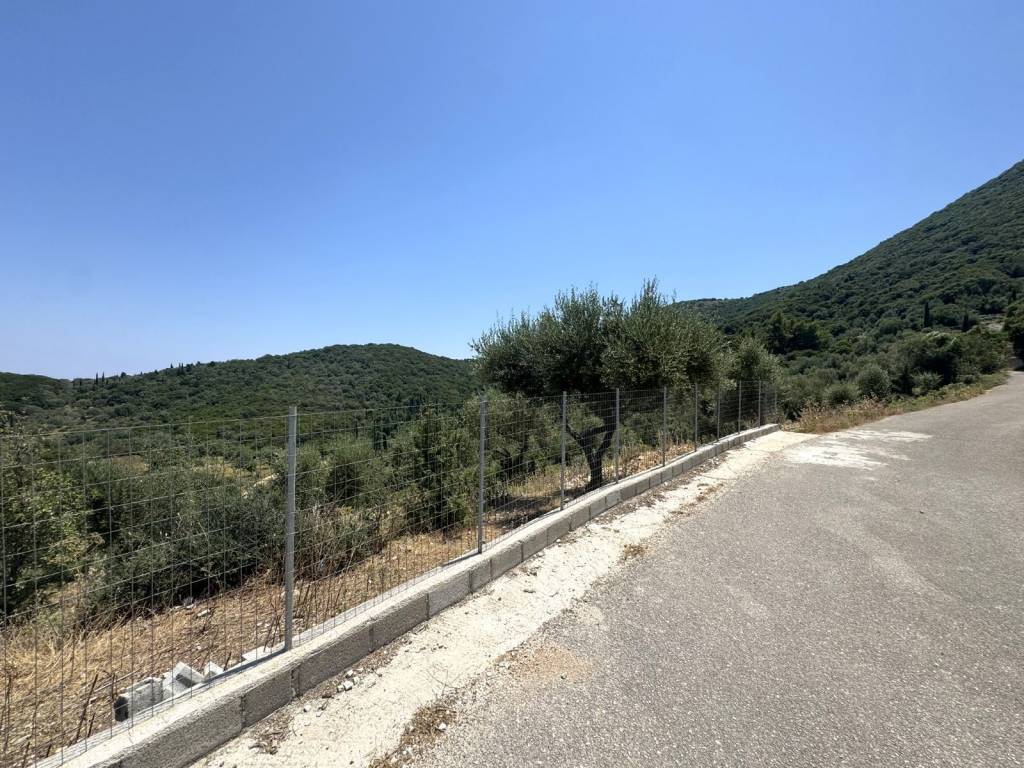 Road view of the property